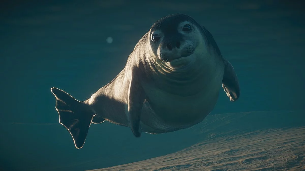 Planet Zoo — Mediterranean monk seal - new species