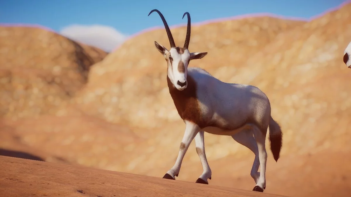 Planet Zoo — Crooked antelope - new species