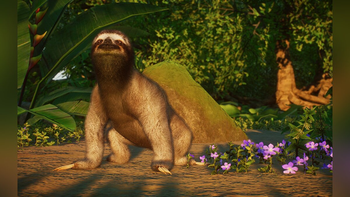 Planet Zoo — New species - brown-throated three-toed sloth