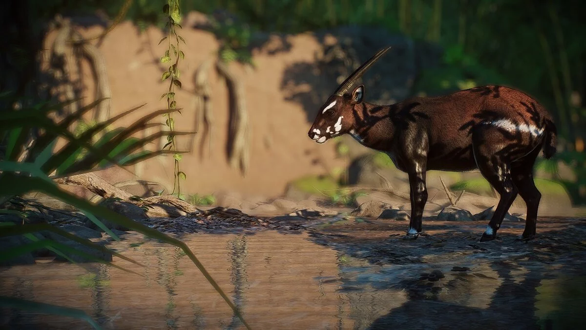 Planet Zoo — Nueva especie - saola