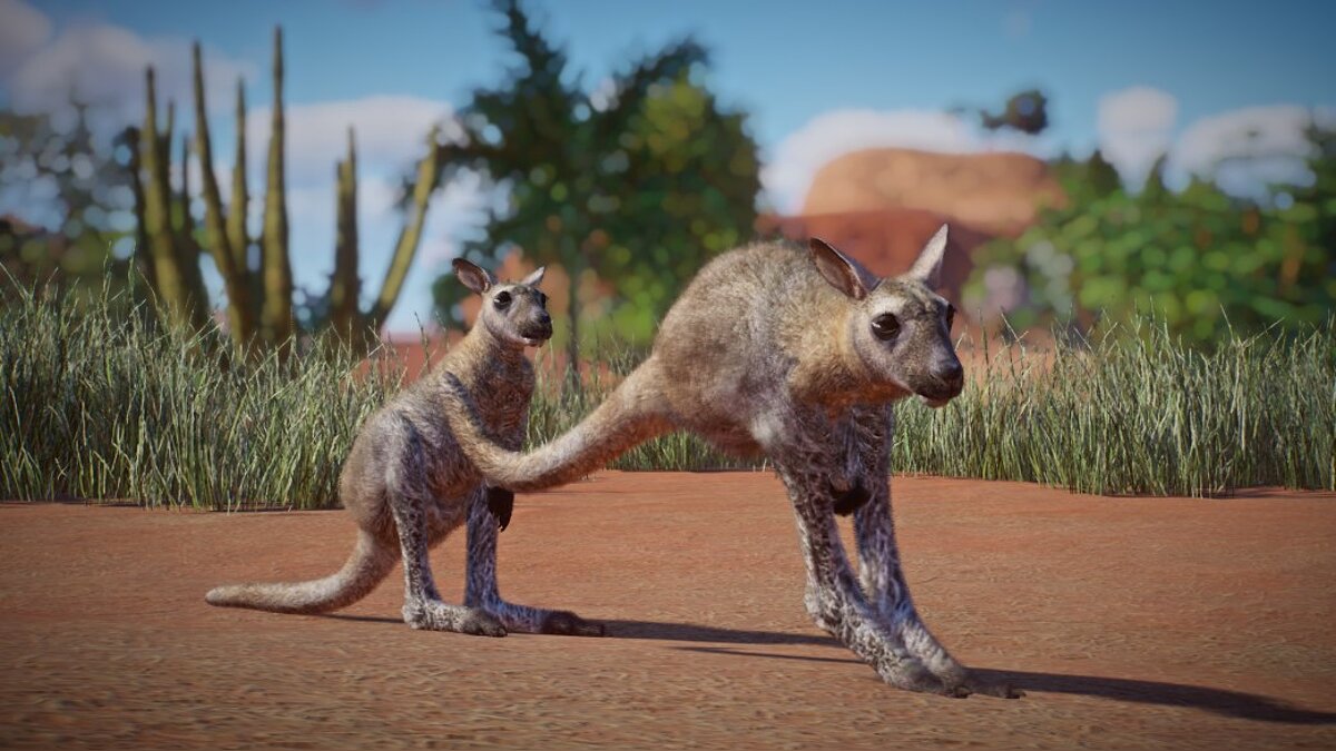 Planet Zoo — Red-necked wallaby (new species)