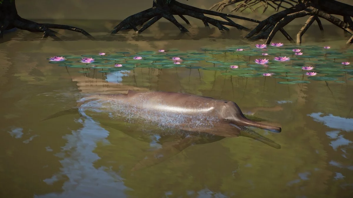 Planet Zoo — Ganges River dolphin (new species)