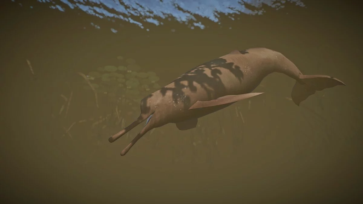 Planet Zoo — Delfin reke Ganges (nova vrsta)