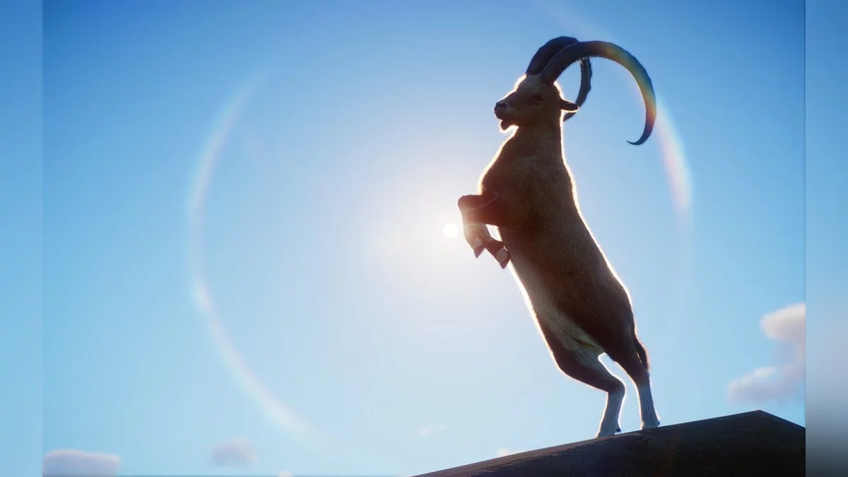 Planet Zoo — New species - Nubian ibex