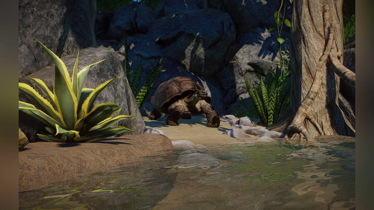 Planet Zoo — Nuevas especies: tortugas de Galápagos de la isla Santa Cruz