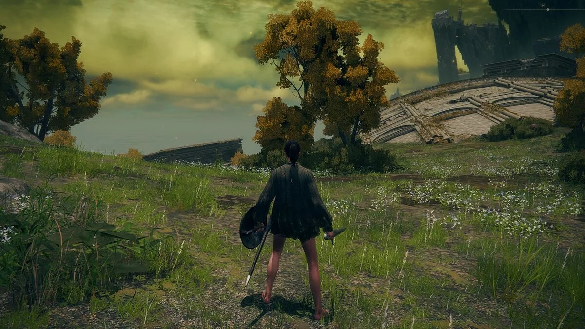 Elden Ring — Предустановка для удаления резкости