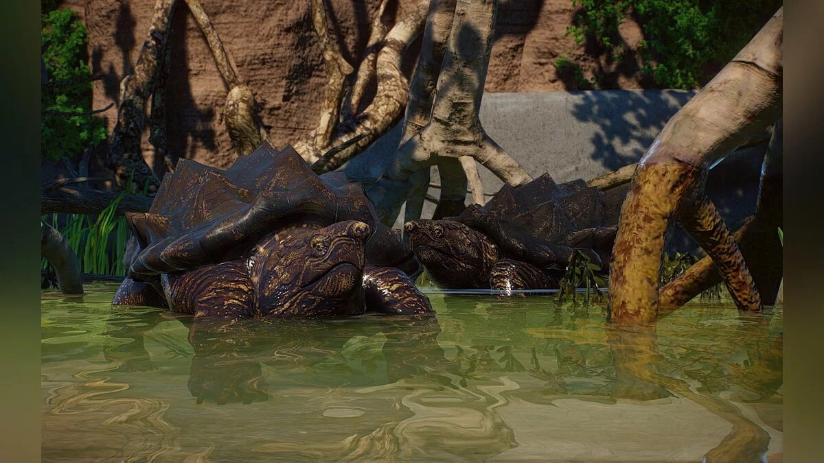 Planet Zoo — Nueva especie: tortuga caimán