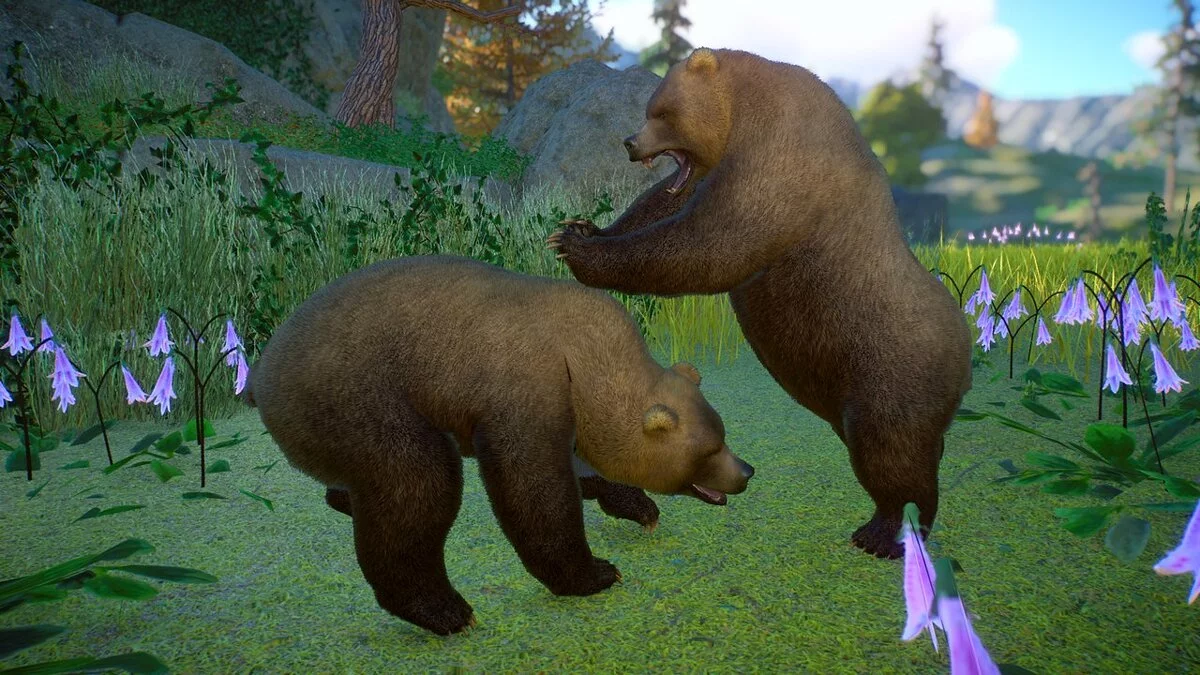 Planet Zoo — Камчатський бурий ведмідь