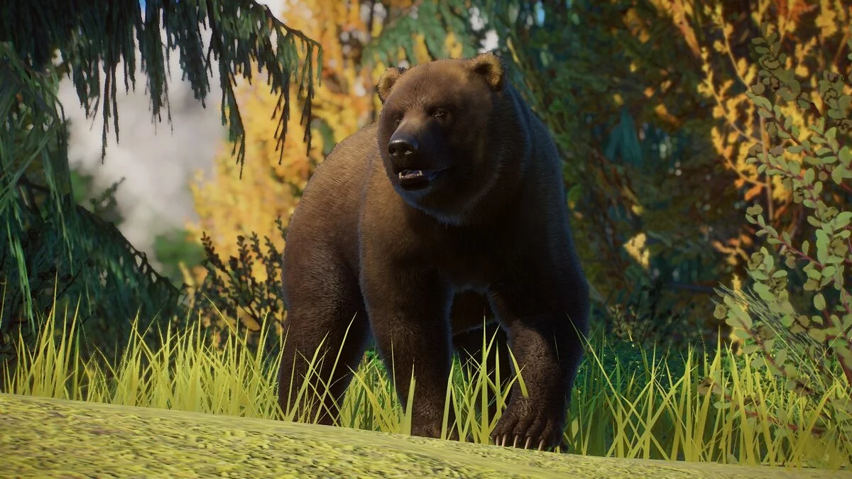 Planet Zoo — Oso pardo de Kamchatka