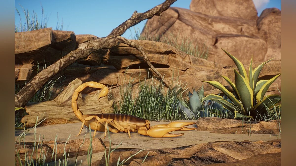 Planet Zoo — New Species - Giant Desert Hairy Scorpion