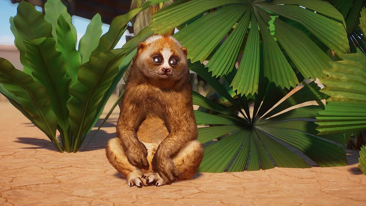 Planet Zoo — Sunda slow loris - new species