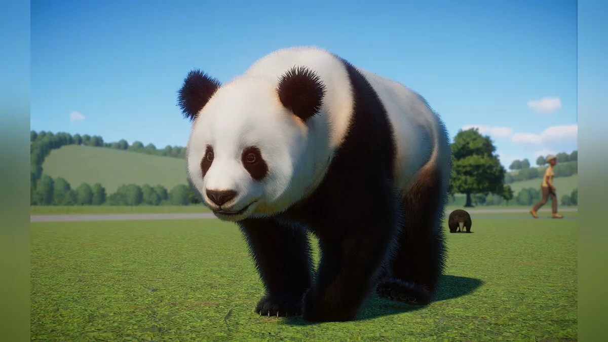 Planet Zoo — Nueva especie: el panda Qinling