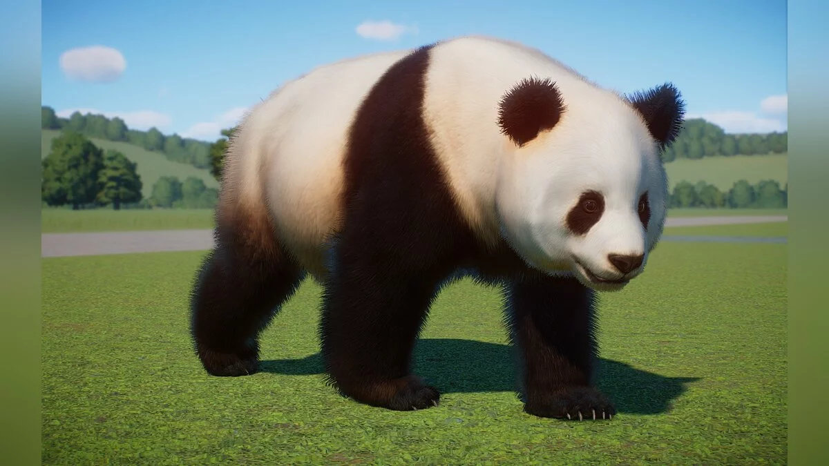 Planet Zoo — Nova vrsta - Qinling panda