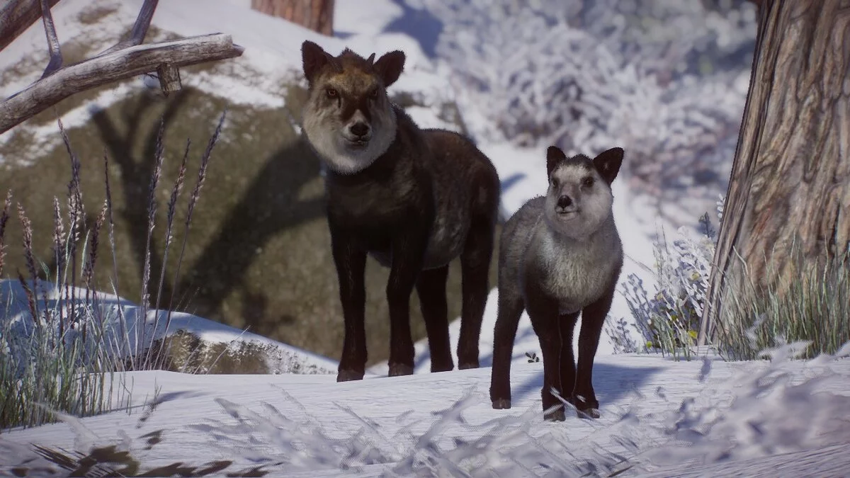 Planet Zoo — Serow japonés - nueva especie