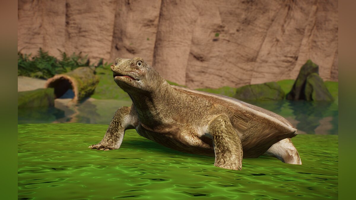 Planet Zoo — New species - Chinese soft-shelled turtle