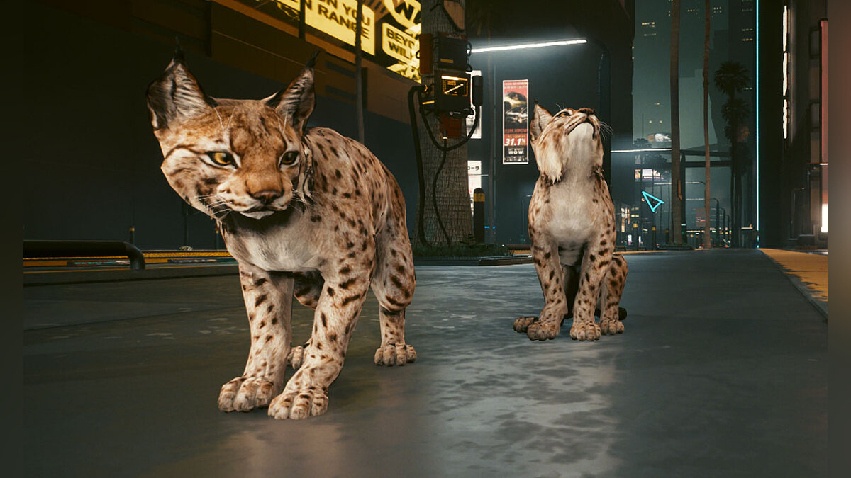 Cyberpunk 2077 — Pet - lynx