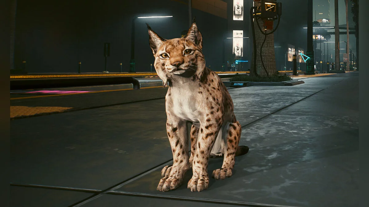 Cyberpunk 2077 — Вихованець - рись