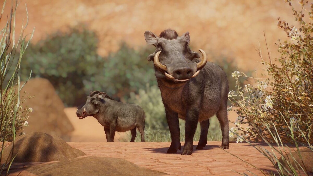 Planet Zoo — Desert warthog - new species