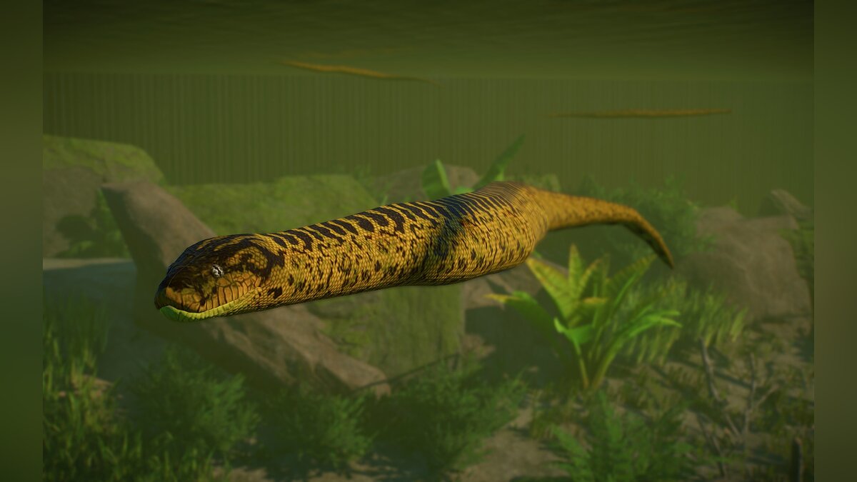 Planet Zoo — New species - yellow anaconda