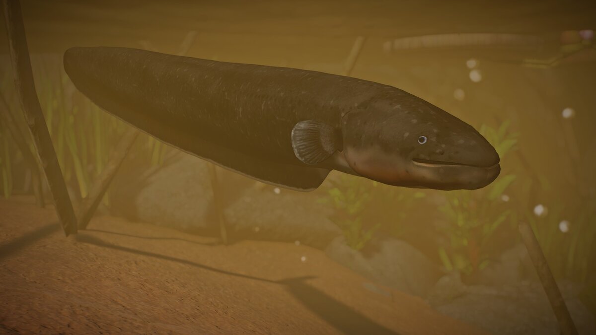 Planet Zoo — New species - electric eel