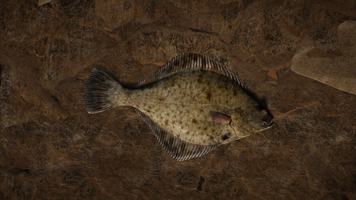 Planet Zoo — New species - European flounder