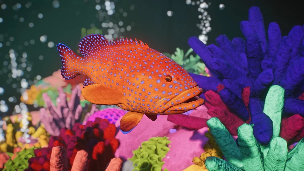 Planet Zoo — New species - coral grouper