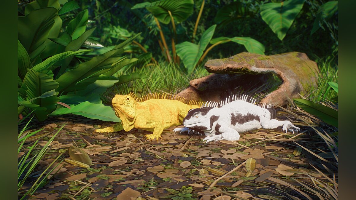 Planet Zoo — New species - green iguana