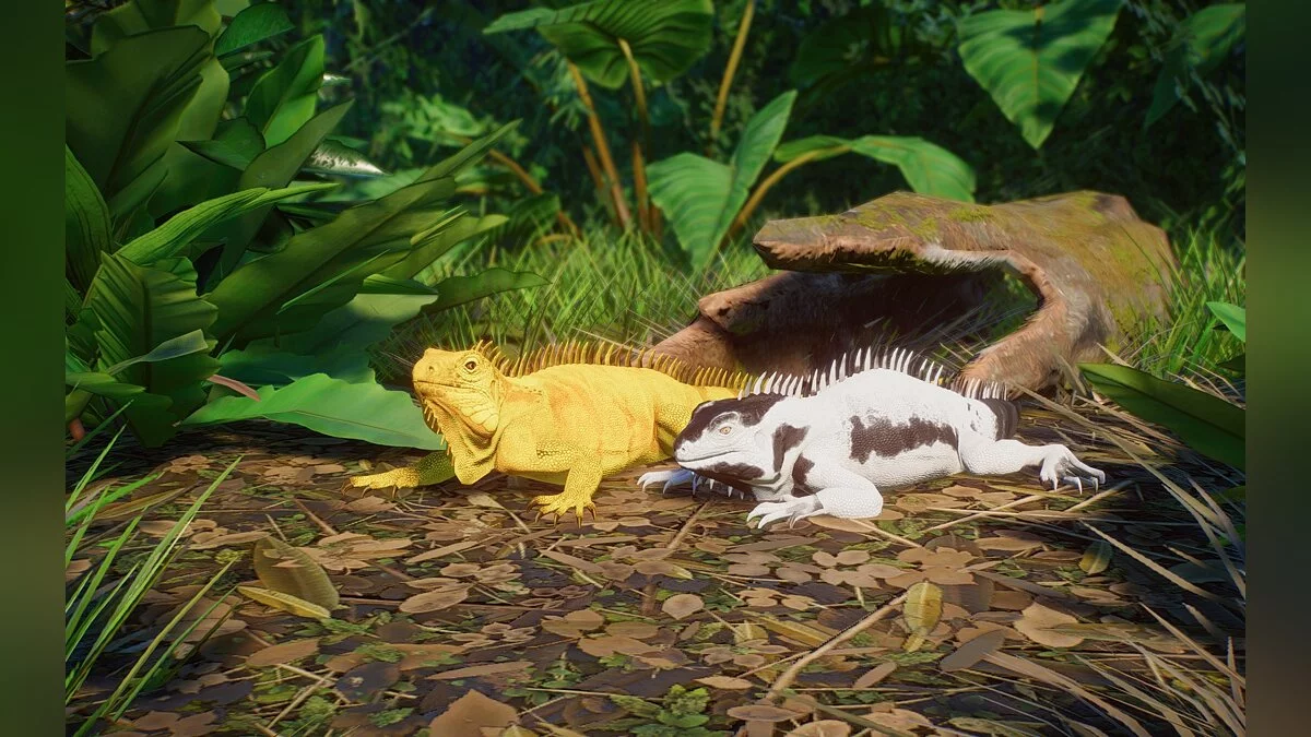 Planet Zoo — Nueva especie: iguana verde