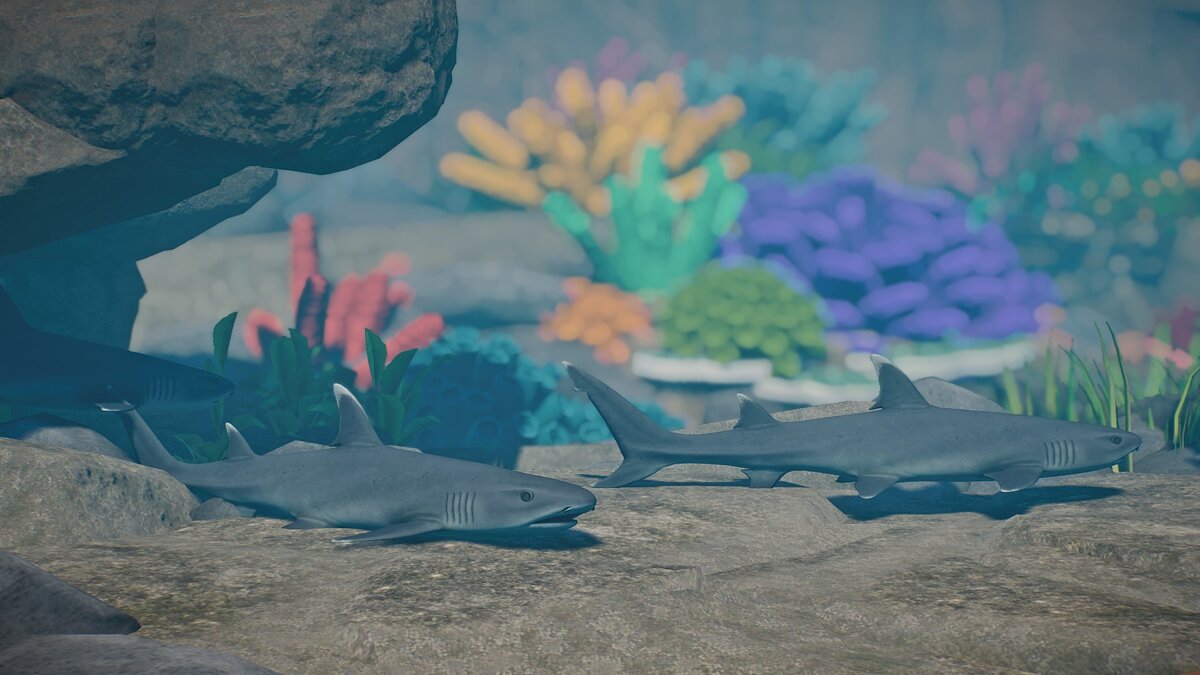 Planet Zoo — New species - whitetip reef shark