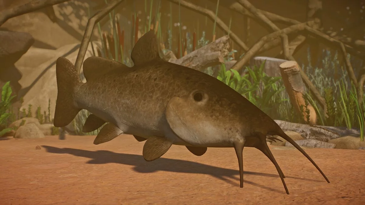 Planet Zoo — New species - giraffe catfish