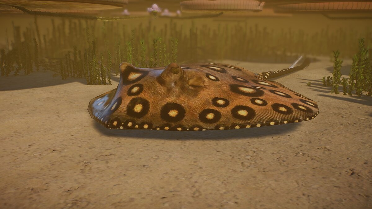 Planet Zoo — New species - ocellated river stingray