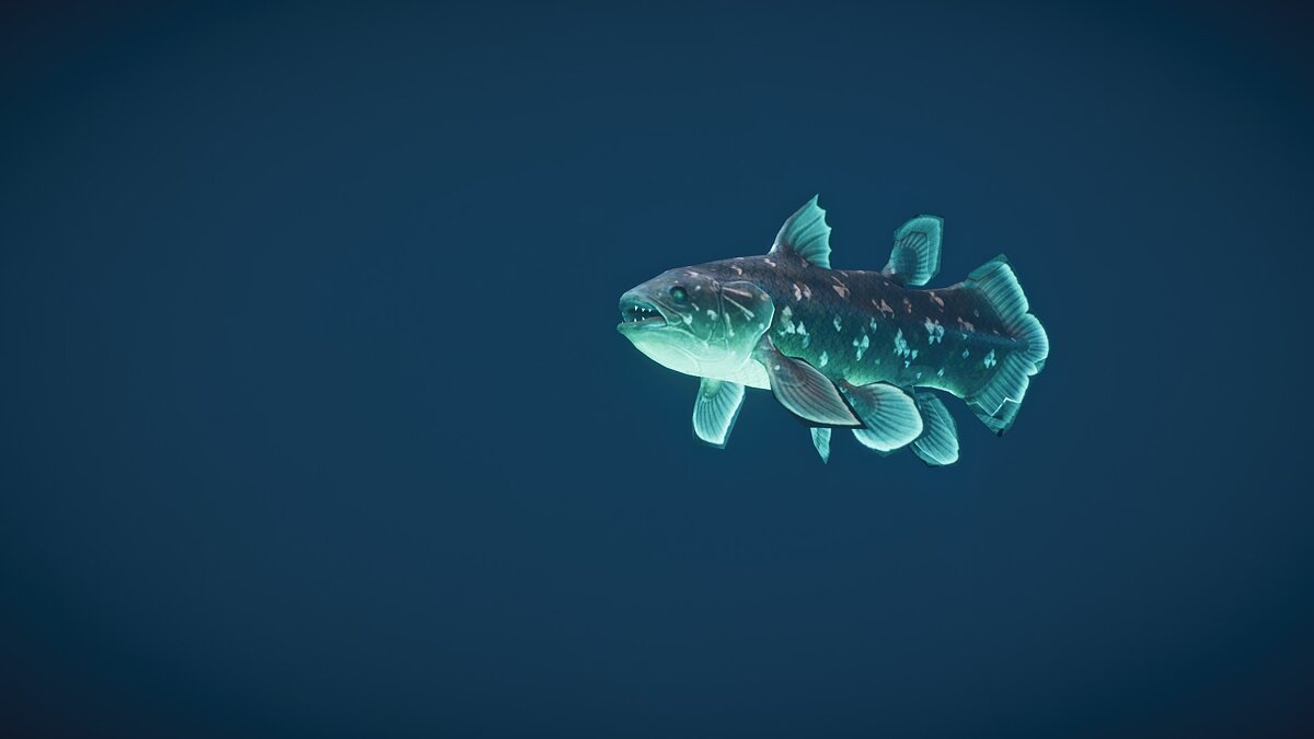 Planet Zoo — New species - Western Indian Ocean coelacanth