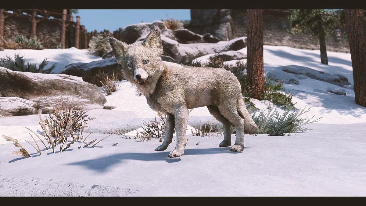 Elder Scrolls 5: Skyrim Special Edition — Фотореалистичные лисы