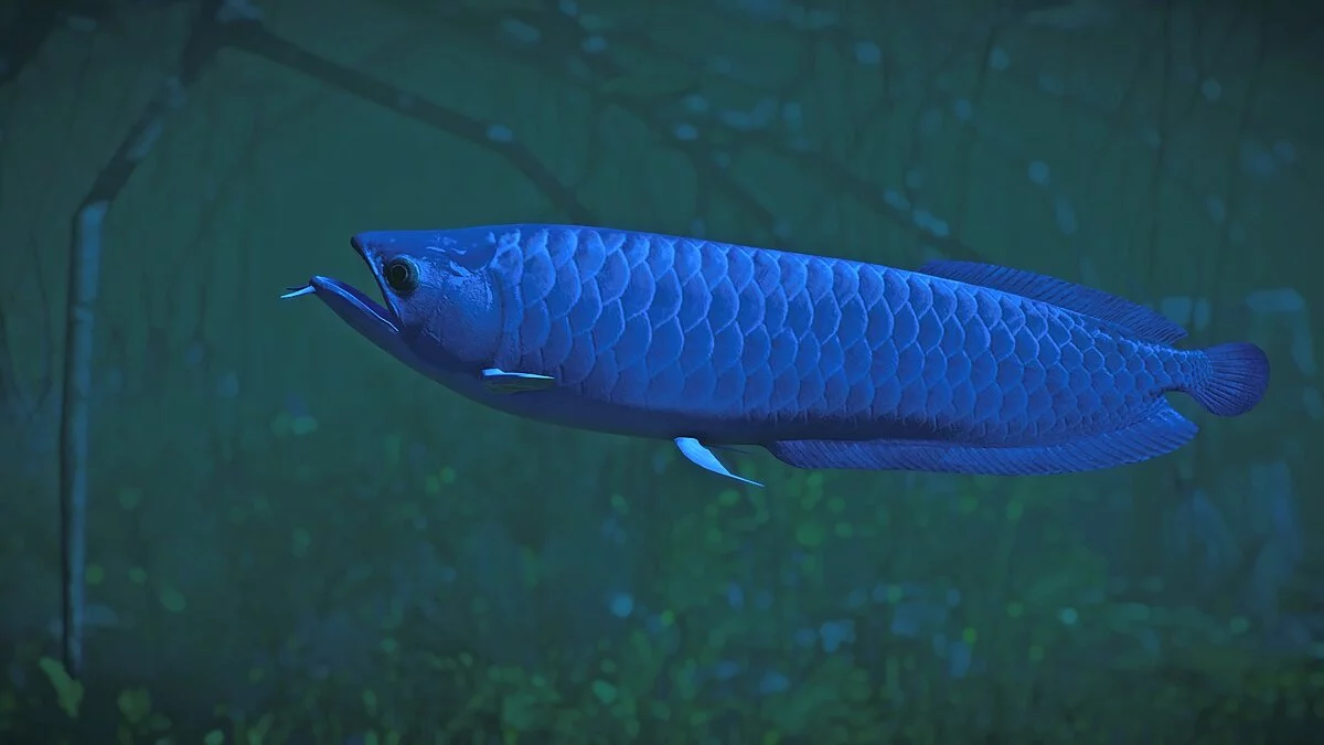 Planet Zoo — Nova vrsta - srebrna arowana