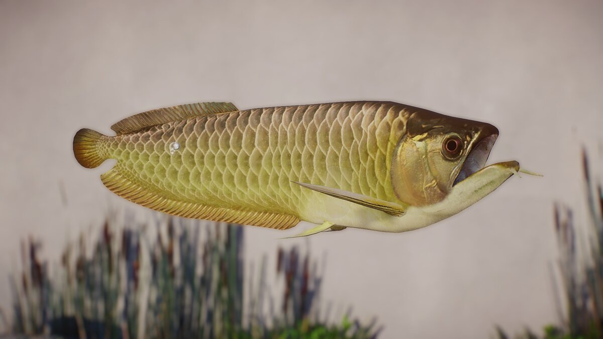 Planet Zoo — New species - silver arowana