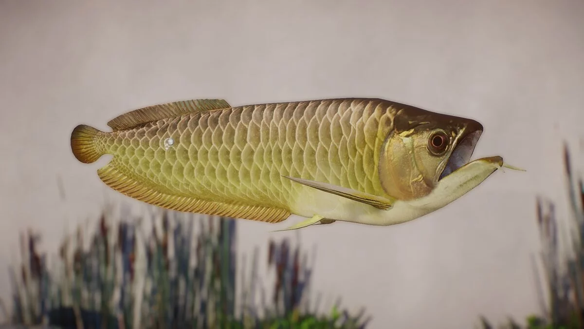 Planet Zoo — New species - silver arowana