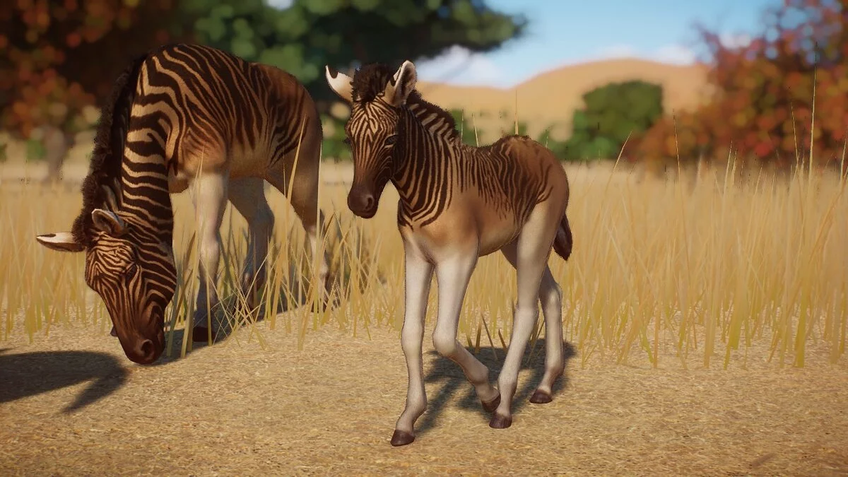 Planet Zoo — Quagga - nova vrsta
