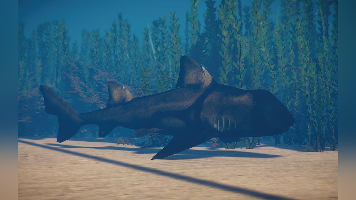 Planet Zoo — New species - Port Jackson shark