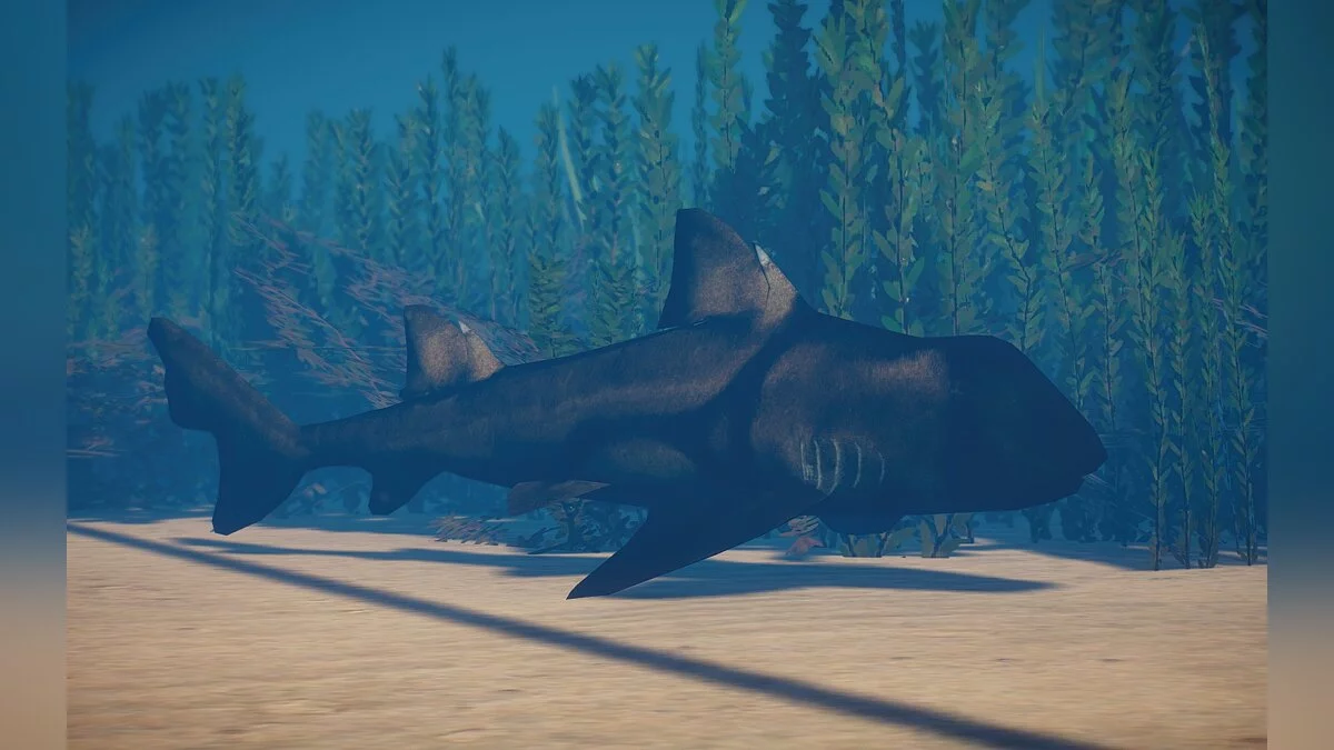 Planet Zoo — New species - Port Jackson shark