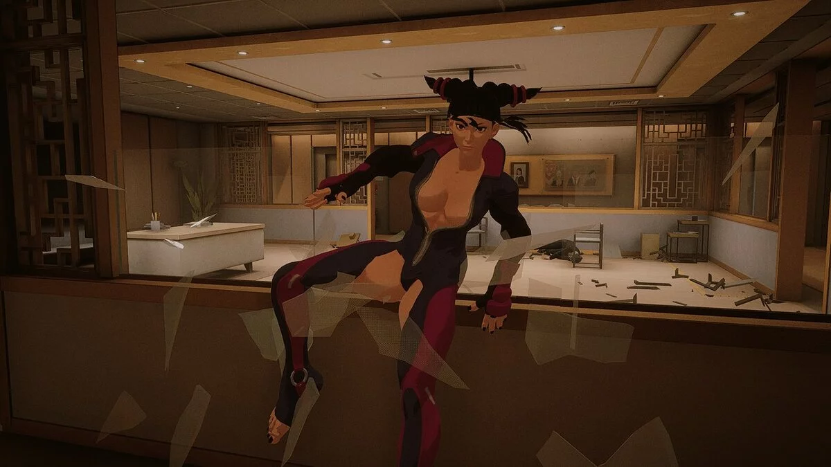 Sifu — Джури из игры Street Fighter 5