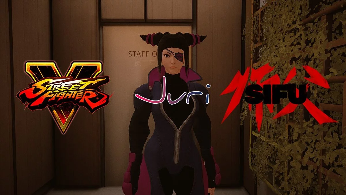 Sifu — Juri from the game Street Fighter 5