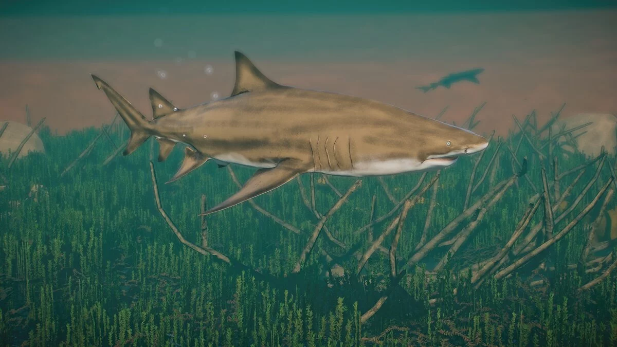 Planet Zoo — New species - lemon shark