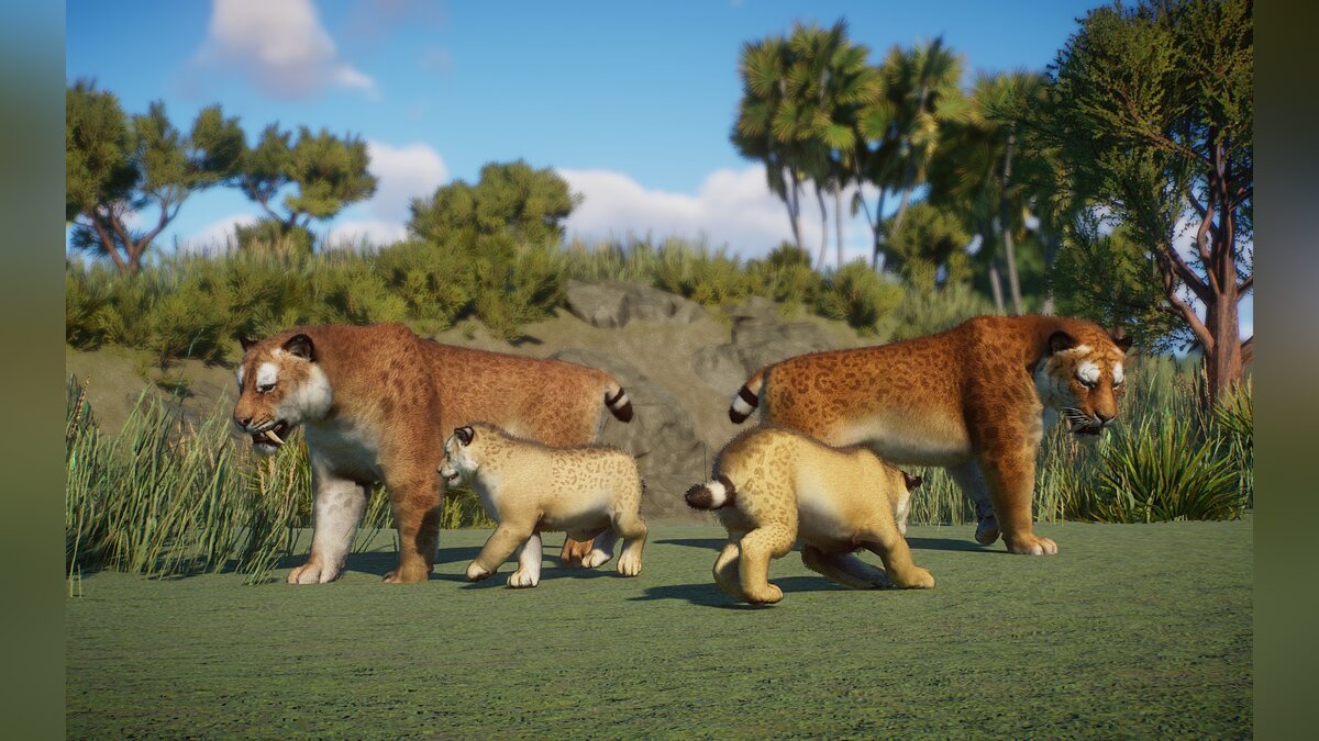 Planet Zoo — Smilodon - new species