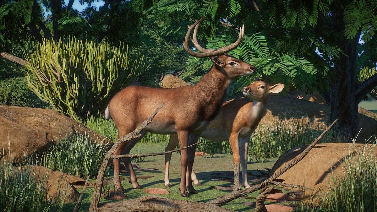 Planet Zoo — Eld's deer - new species