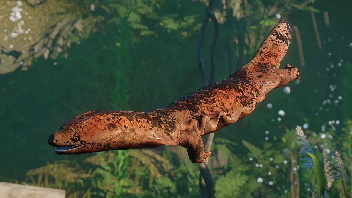 Planet Zoo — Japanese giant salamander - new species