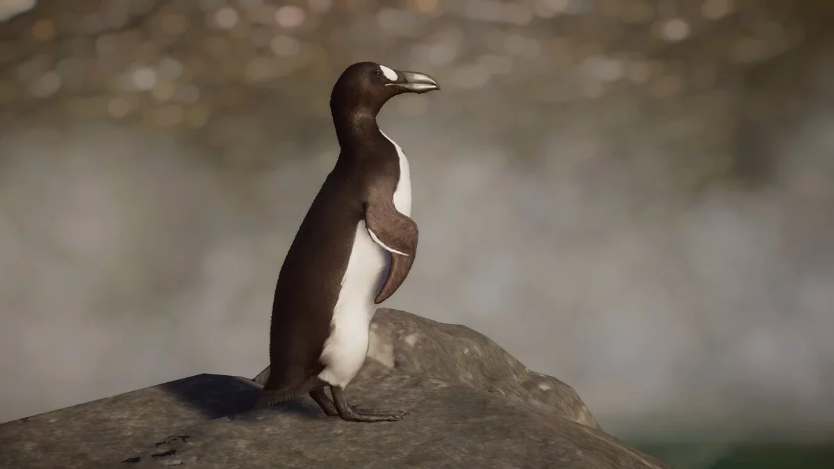 Planet Zoo — Great Auk - a new species