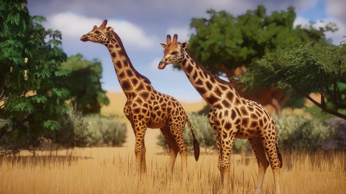 Planet Zoo — La jirafa de Rothschild - nueva especie