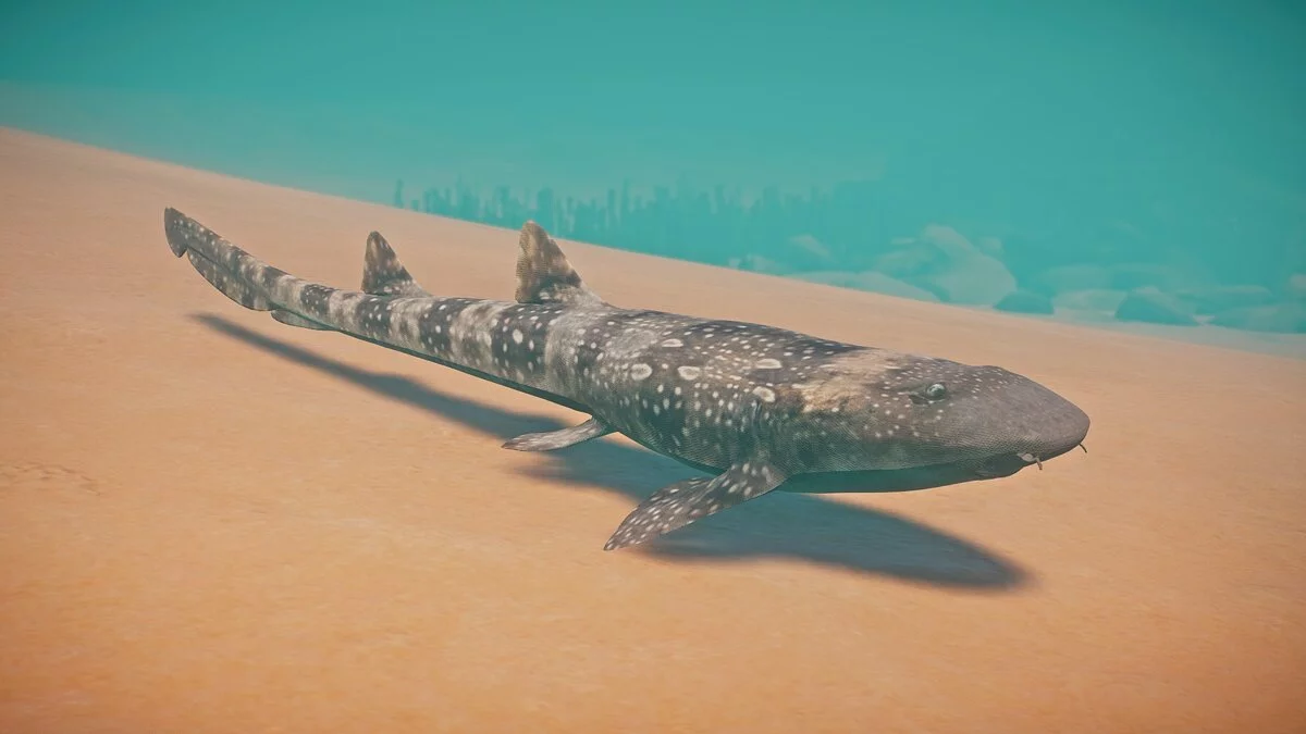 Planet Zoo — Nueva especie: tiburón bambú de manchas blancas