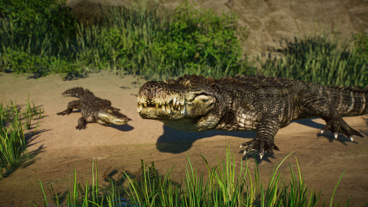 Planet Zoo — Deinosuchus - a new species