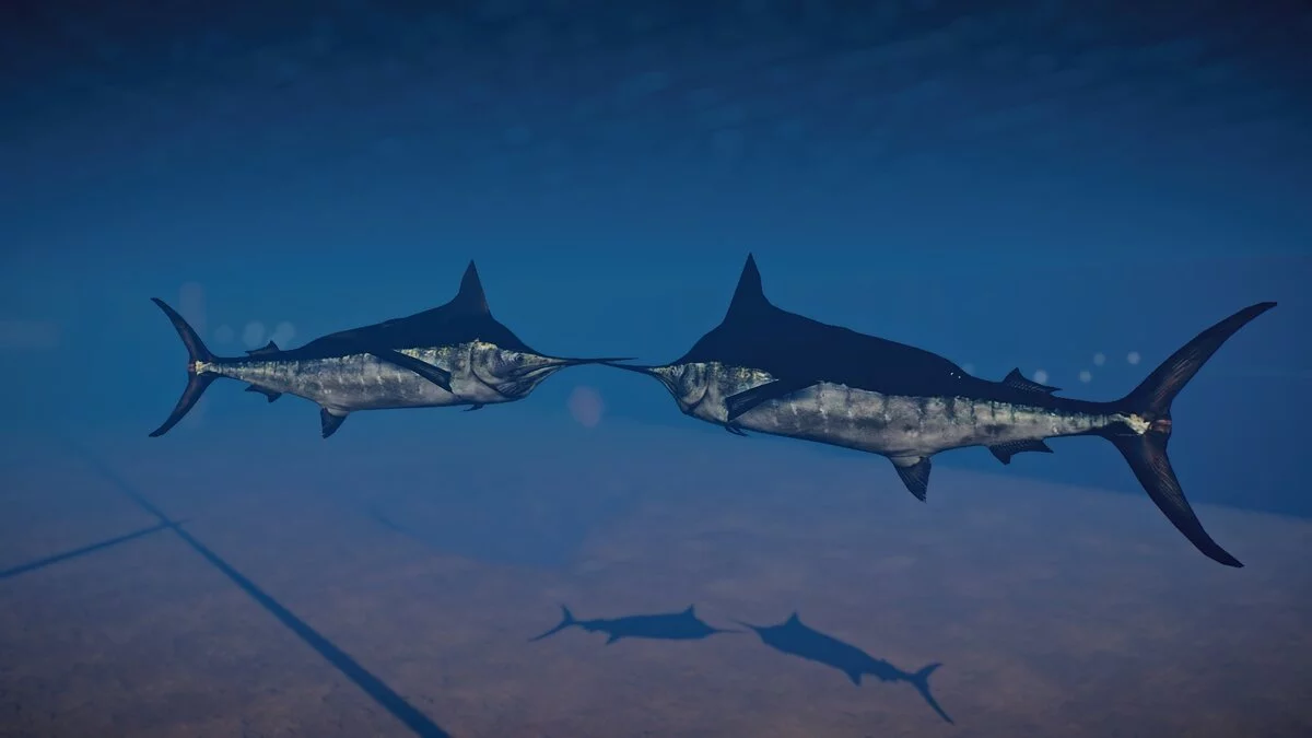 Planet Zoo — Черный марлин - новые виды